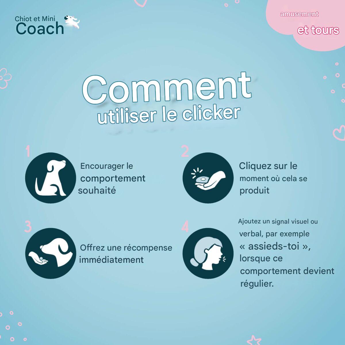 Cliquet et Sifflet Éducatif pour Chien Whizzclick Coachi