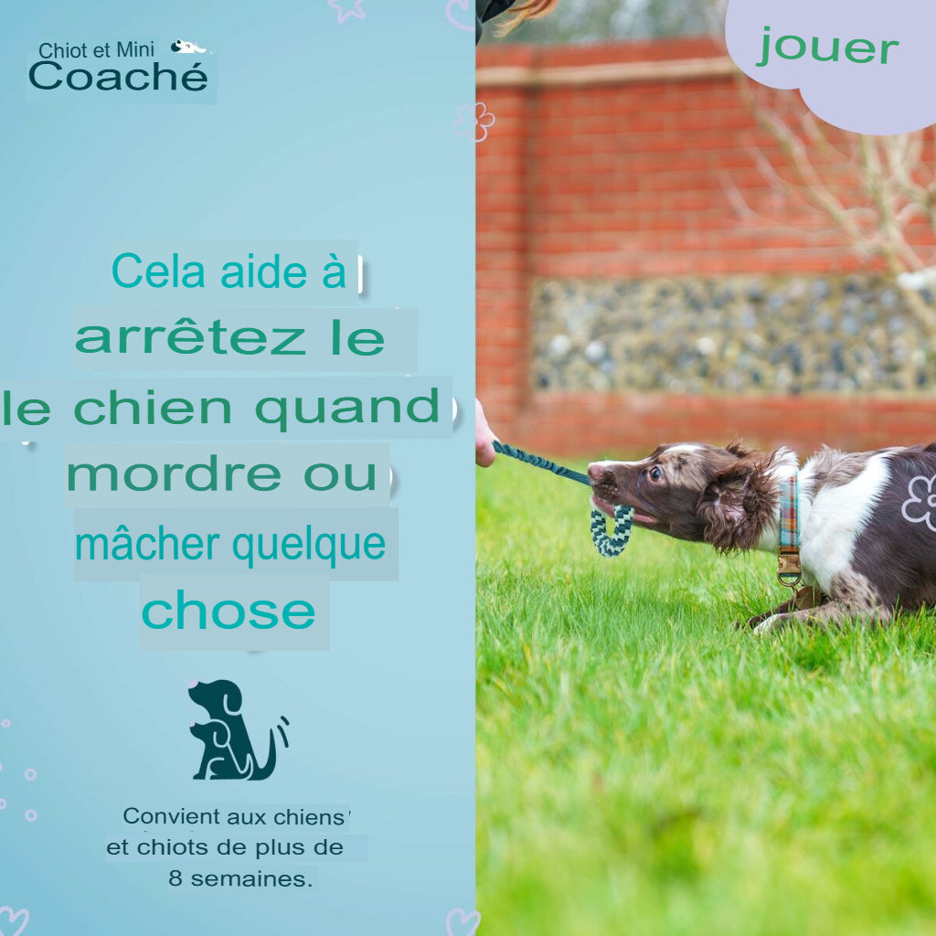 Jouet pour Chien Coachi