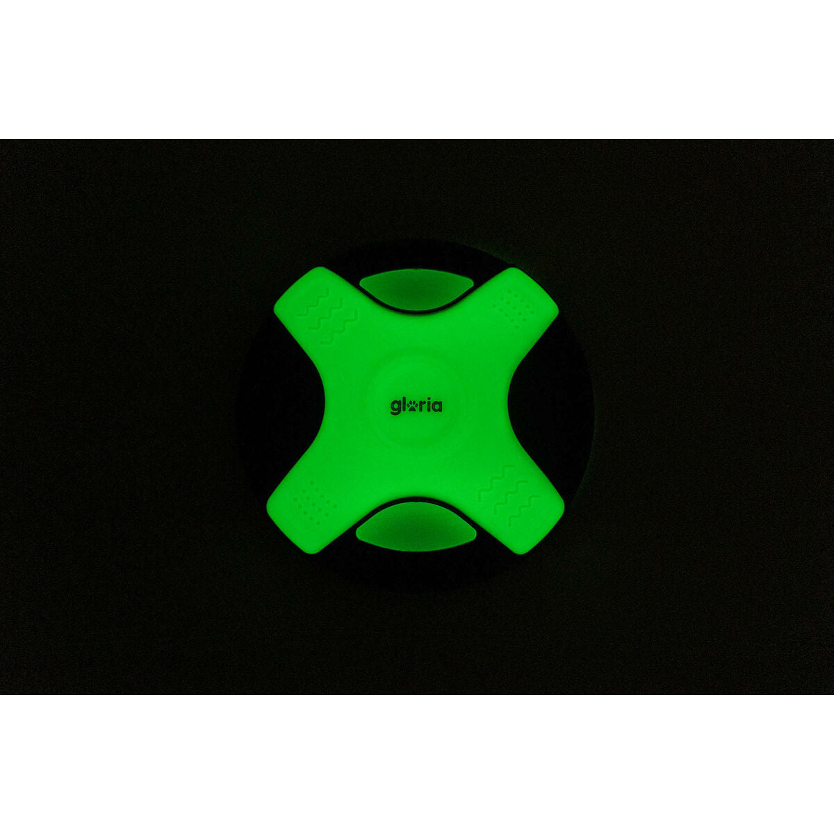 Frisbee Gloria Blanc TPR 25 cm