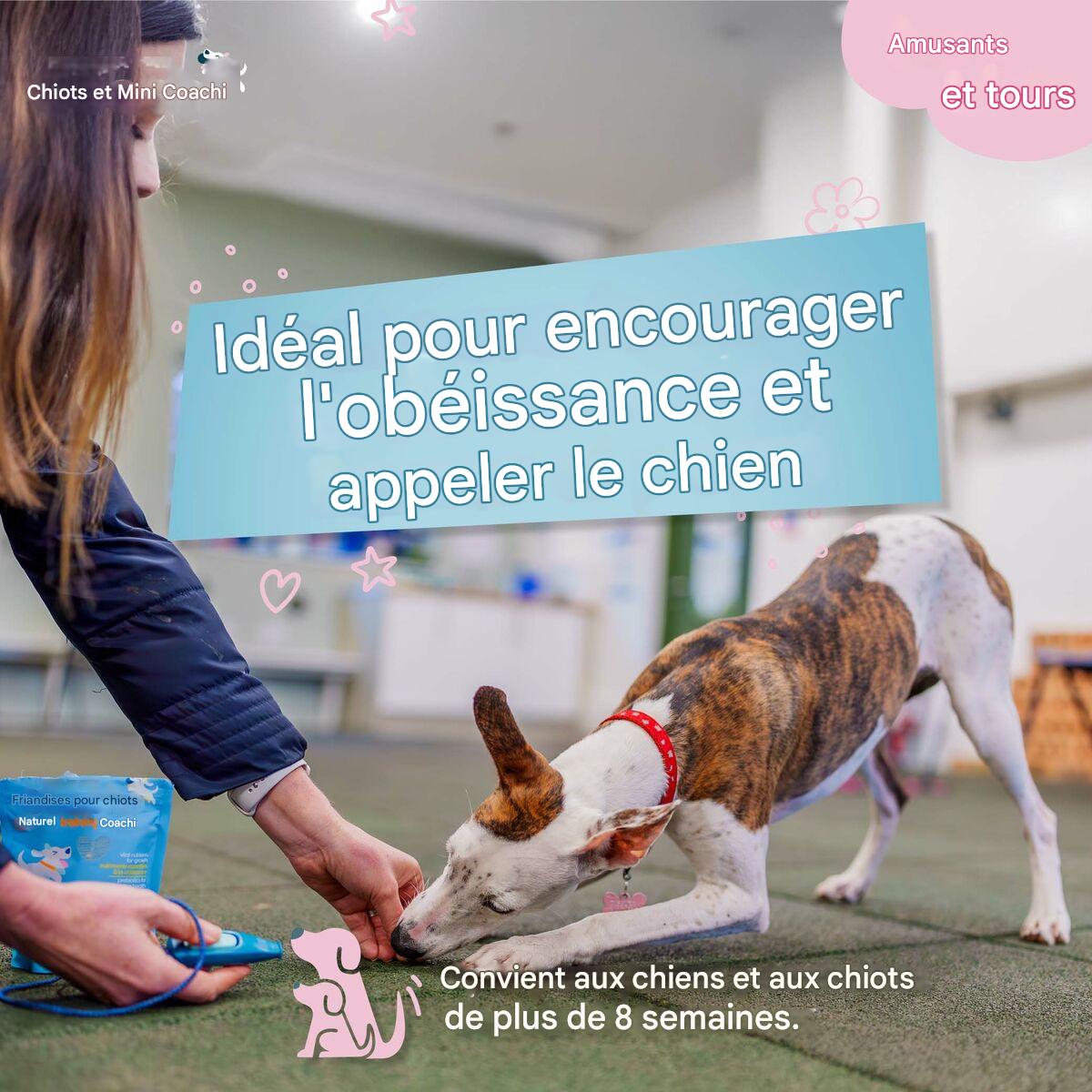 Cliquet et Sifflet Éducatif pour Chien Whizzclick Coachi