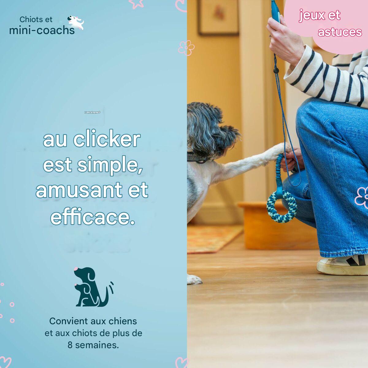 Cliquet et Sifflet Éducatif pour Chien Whizzclick Coachi