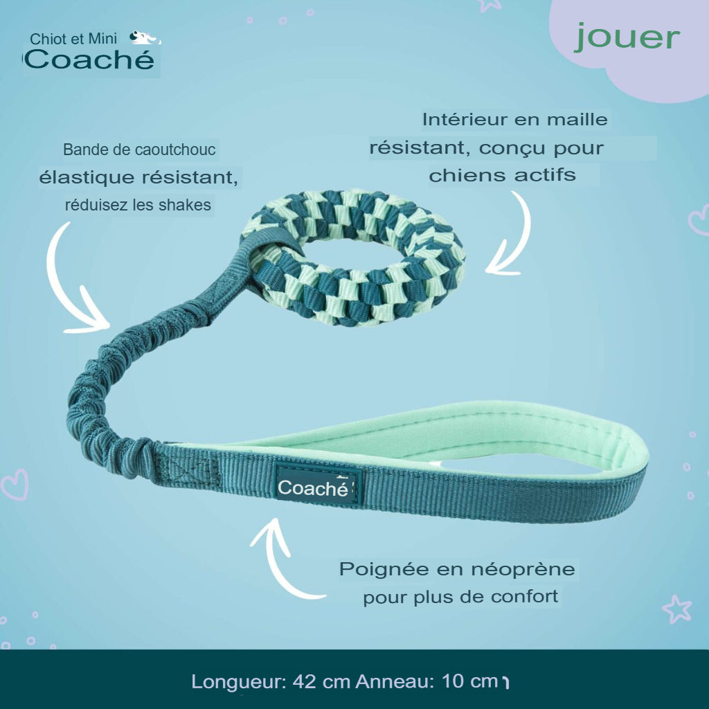 Jouet pour Chien Coachi