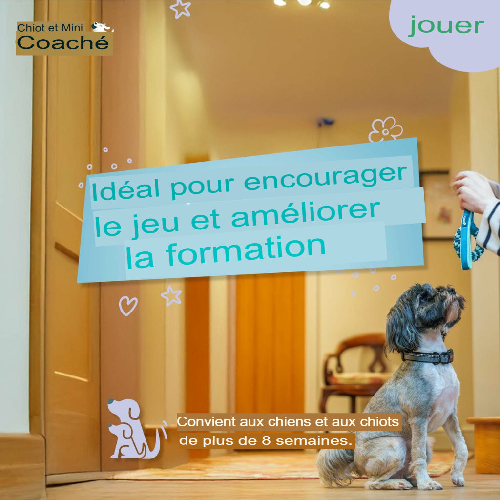 Jouet pour Chien Coachi