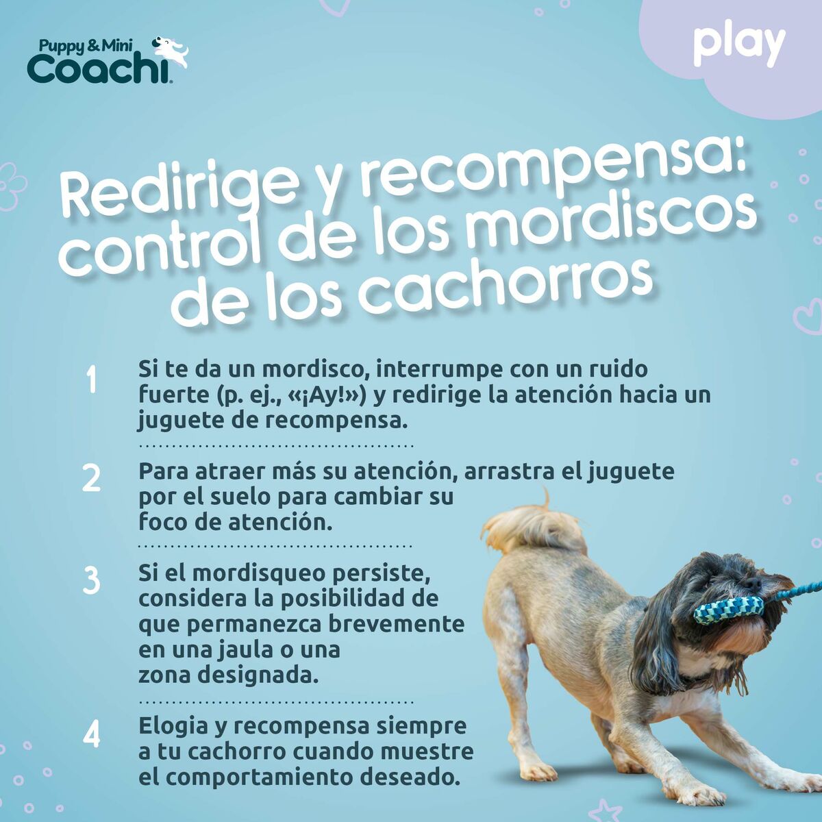Jouet pour Chien Coachi